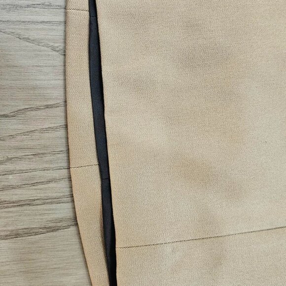 Express Camel Colored Skirt Women's XS (00) Lined - Polyester/Rayon/Spandex - Picture 2 of 15